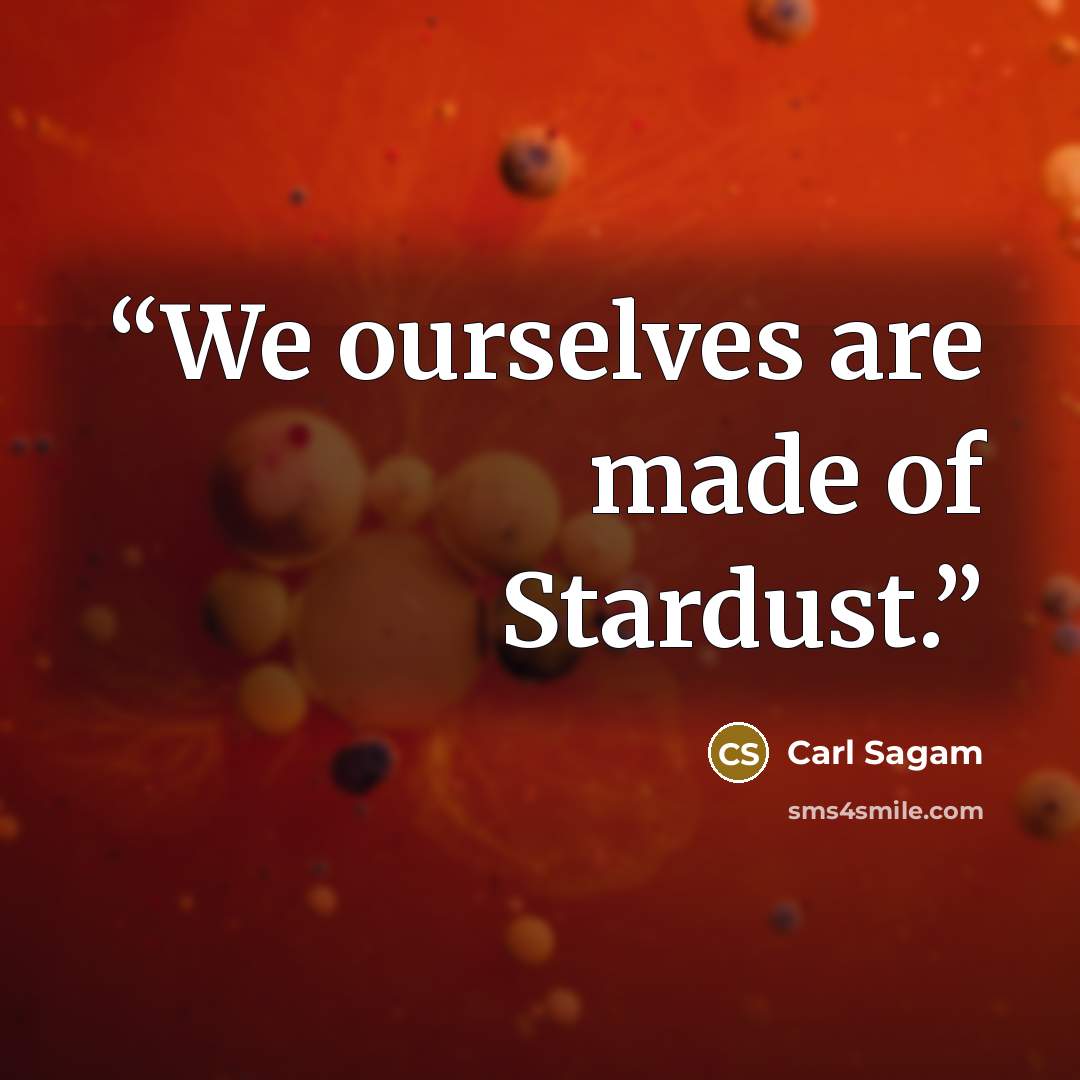 “We ourselves are made of Stardust.” quote by Carl Sagam