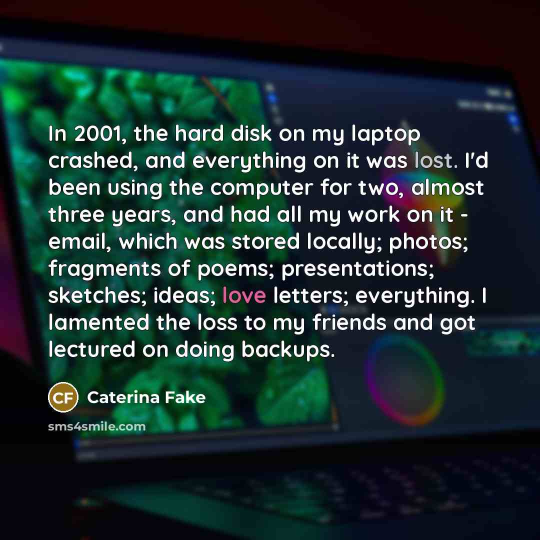 “In 2001, the hard disk on my laptop crashed, and…” quote by Caterina Fake
