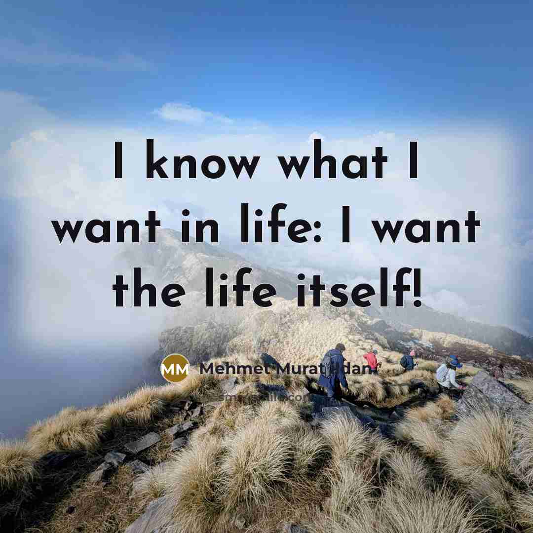 “I know what I want in life: I want the…” quote by Mehmet Murat Ildan