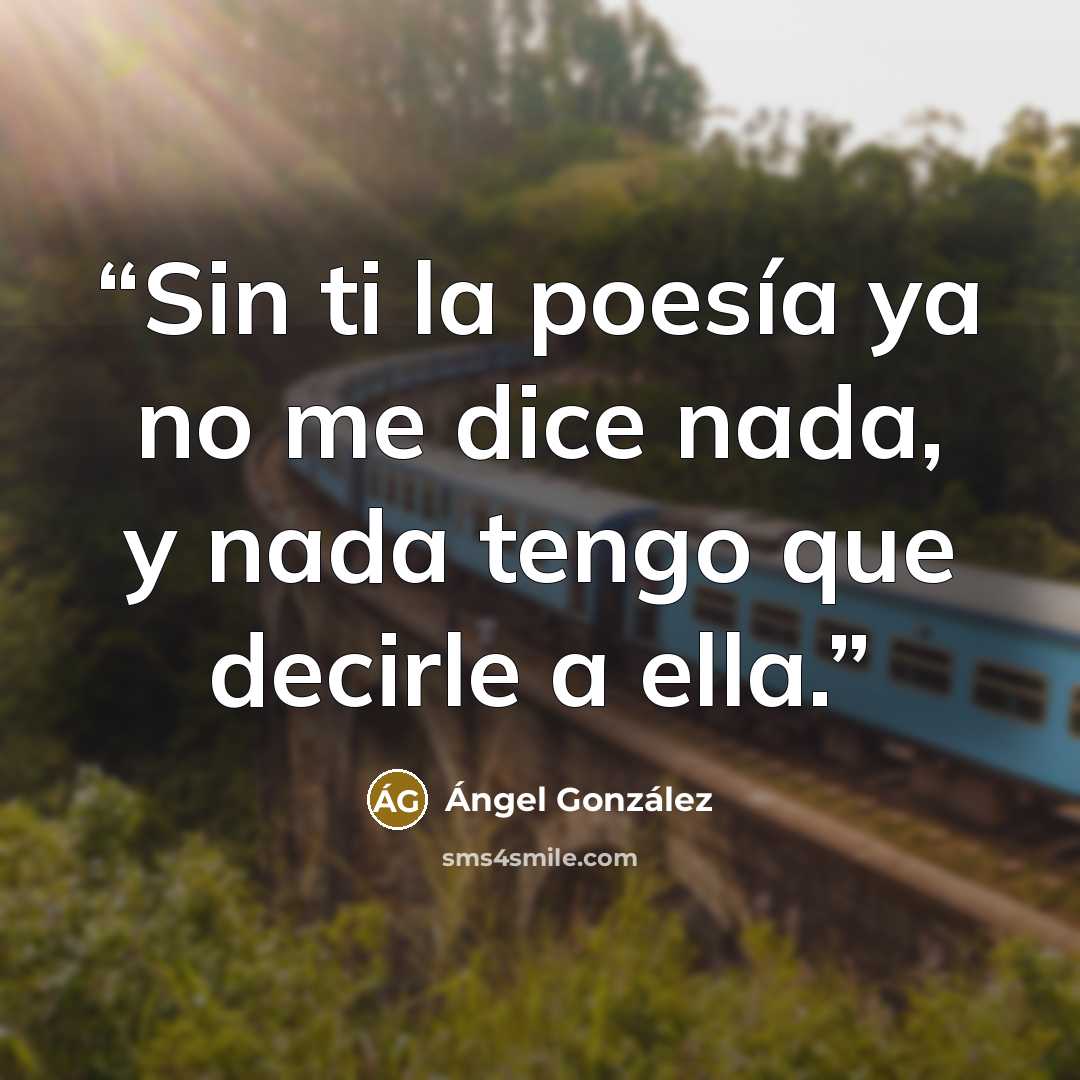 “Sin ti la poesía ya no me dice nada, y nada tengo que decirle a ella.” quote by Ángel González