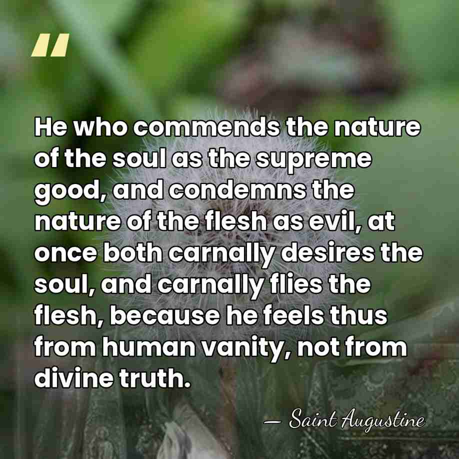 He who commends the nature of the soul as the supreme good,&hellip; - Saint Augustine
