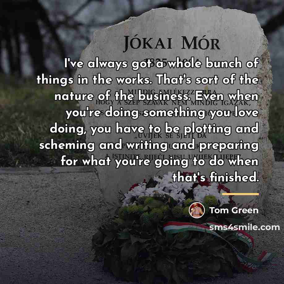 “I've always got a whole bunch of things in the…” quote by Tom Green