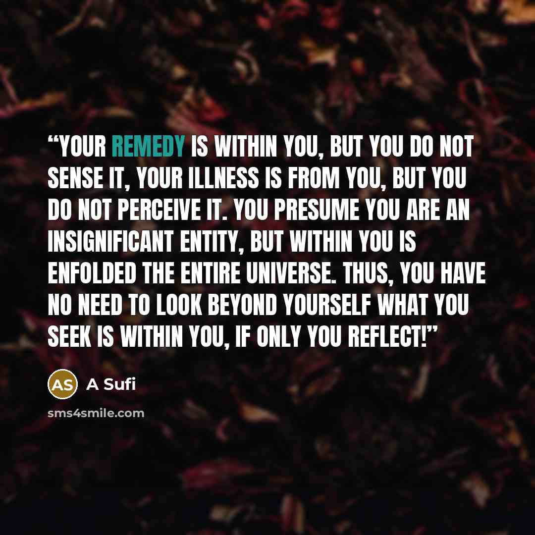“Your remedy is within you, But you do not sense it, Your illness is from you, But you do not perceive it. You presume you are an insignificant entity, But within you is enfolded The entire universe. Thus, you have no need to look beyond yourself What you seek is within you, If only you reflect!” quote by A Sufi