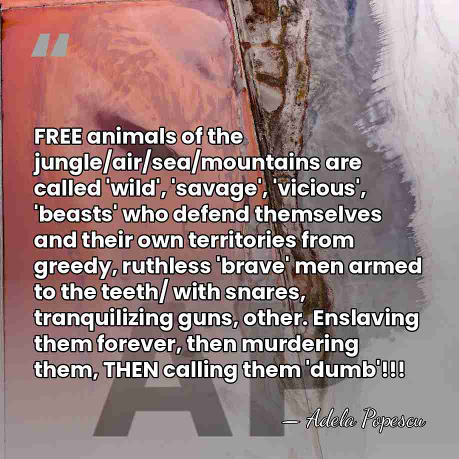 FREE animals of the jungle/air/sea/mountains are called 'wild', 'savage', 'vicious', 'beasts' who&hellip; - Adela Popescu