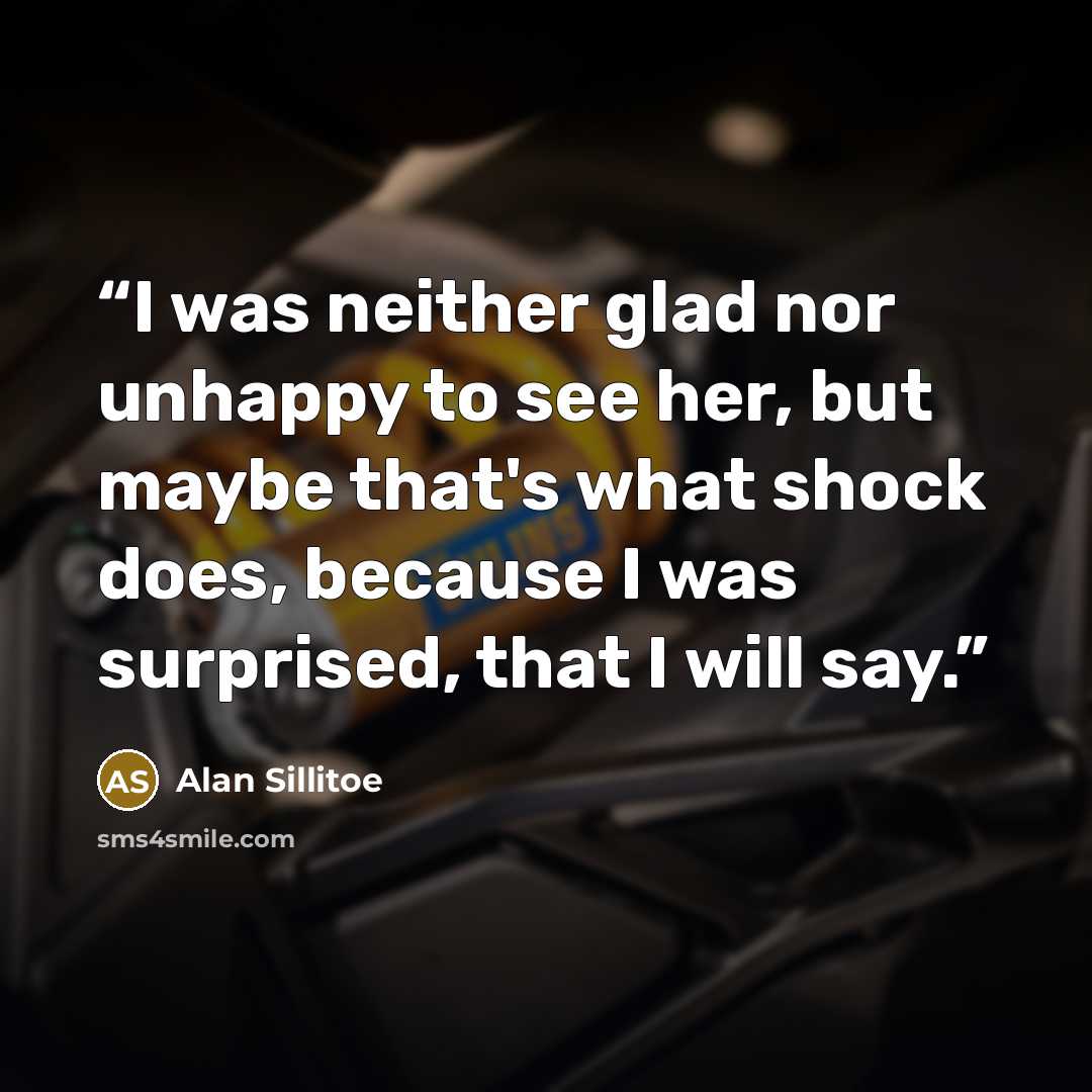 “I was neither glad nor unhappy to see her, but maybe that's what shock does, because I was surprised, that I will say.” quote by Alan Sillitoe
