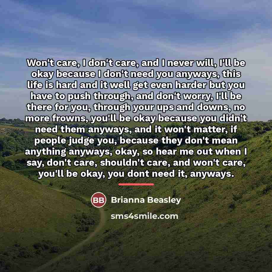 “Won't care, I don't care, and I never will, I'll…” quote by Brianna Beasley
