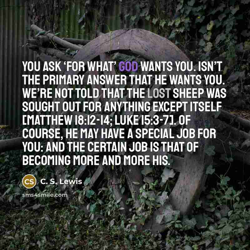 “You ask ‘for what’ God wants you. Isn’t the primary…” quote by C. S. Lewis