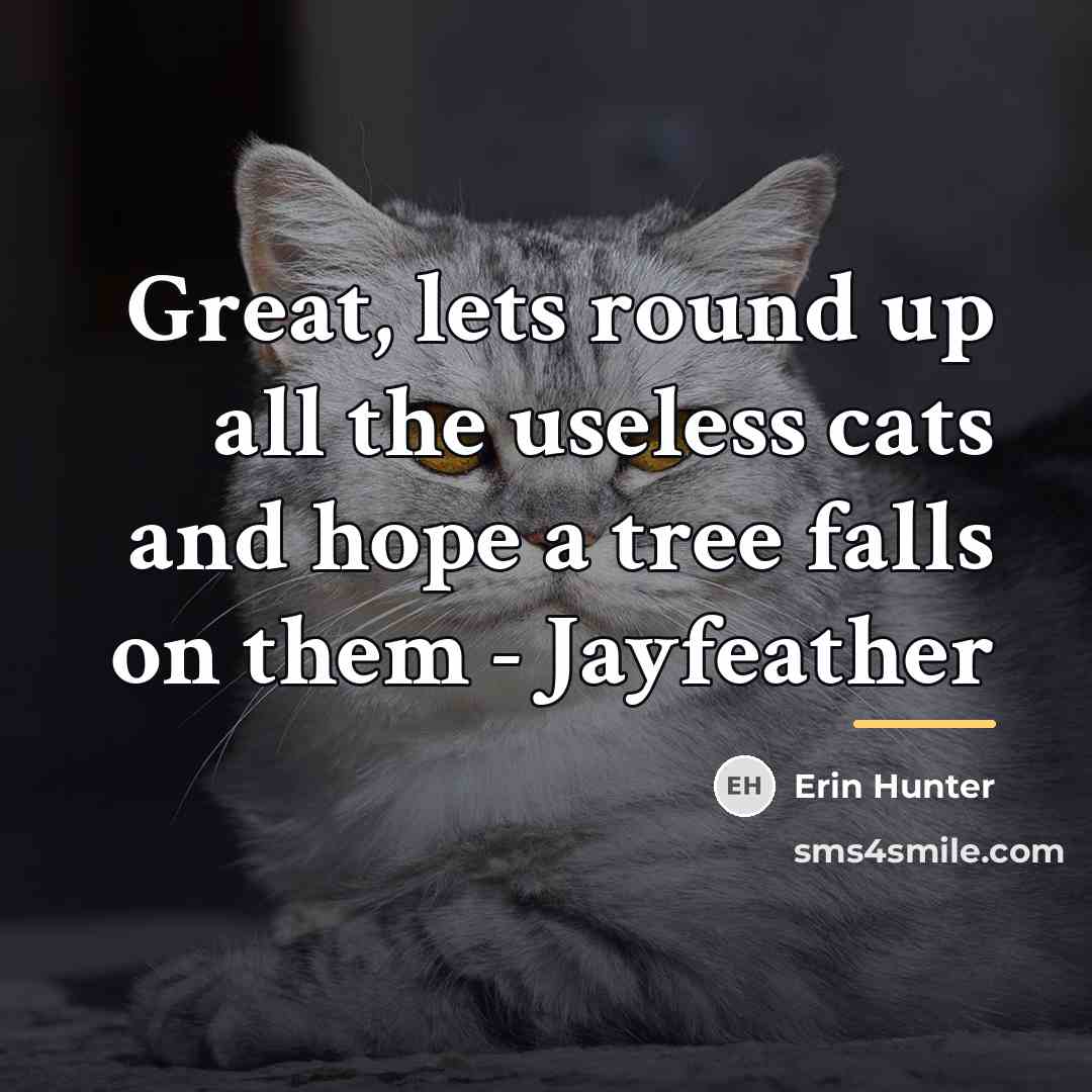 “Great, lets round up all the useless cats and hope…” quote by Erin Hunter