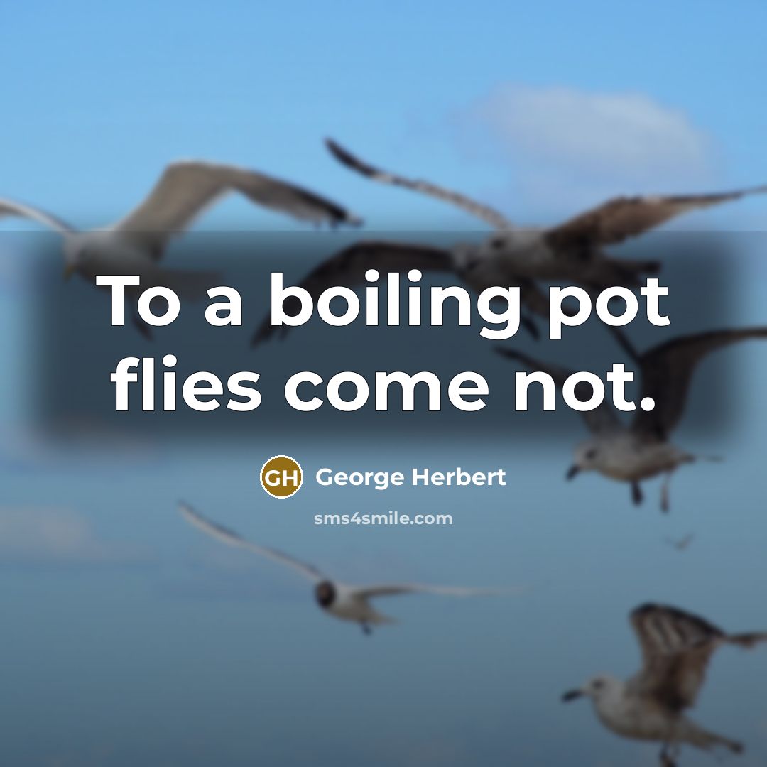 “To a boiling pot flies come not.…” quote by George Herbert