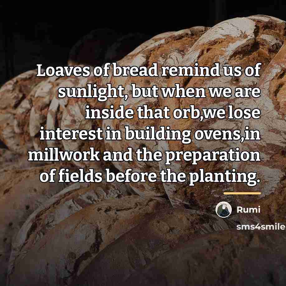 “Loaves of bread remind us of sunlight, but when we…” quote by Rumi