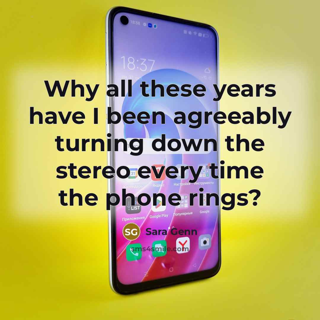 “Why all these years have I been agreeably turning down…” quote by Sara Genn