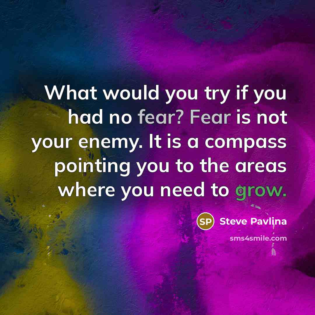 “What would you try if you had no fear? Fear…” quote by Steve Pavlina