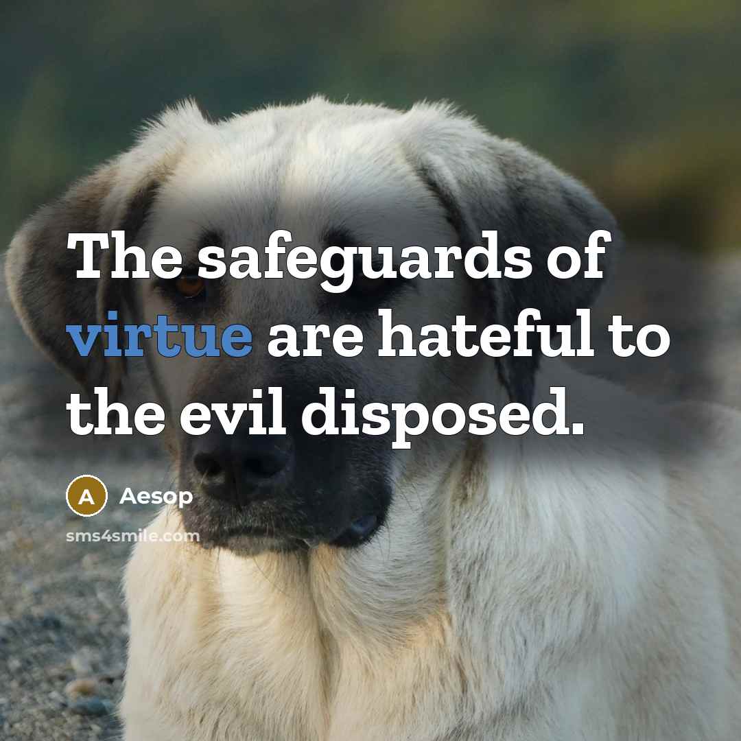 “The safeguards of virtue are hateful to the evil disposed.…” quote by Aesop