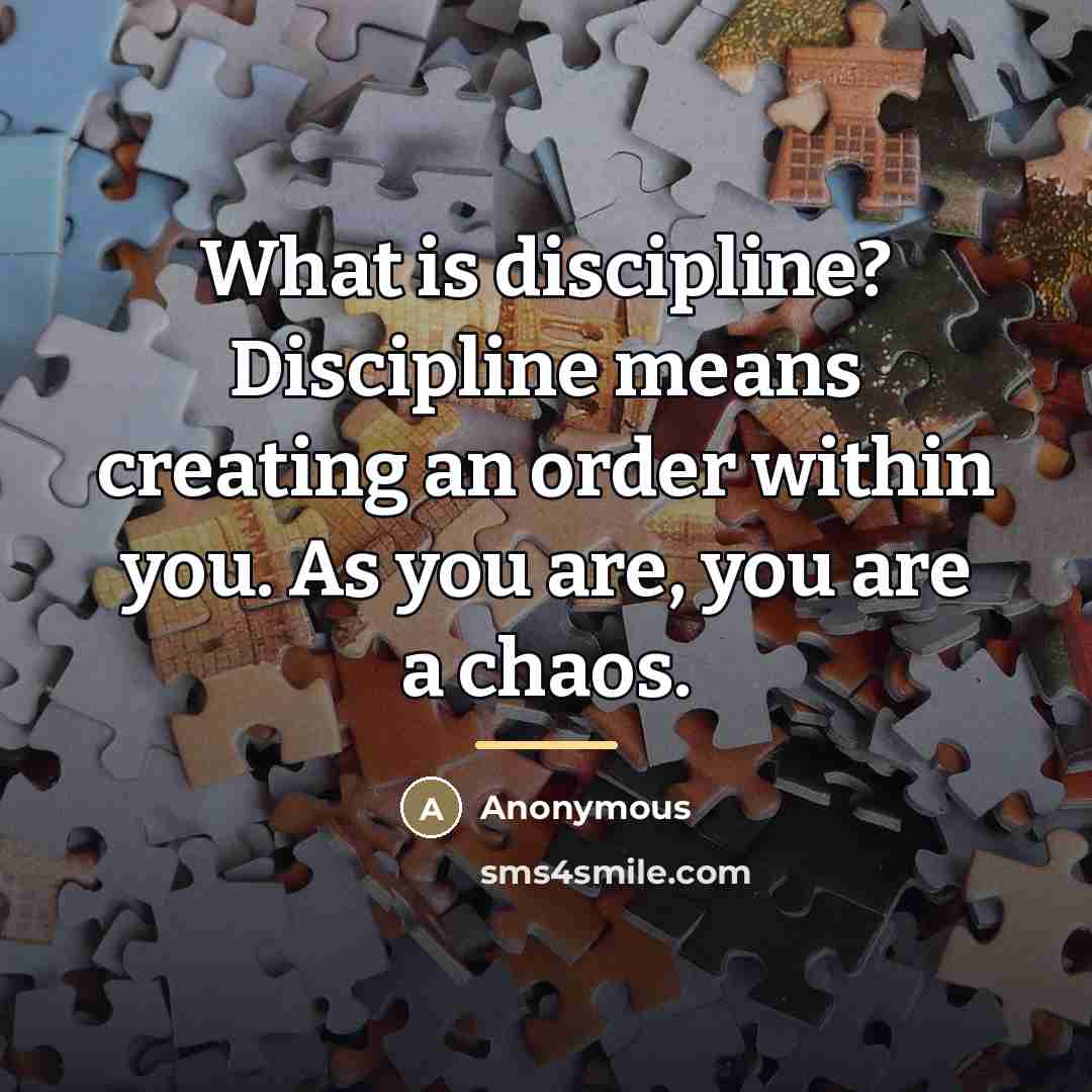“What is discipline? Discipline means creating an order within you.…” quote by Anonymous