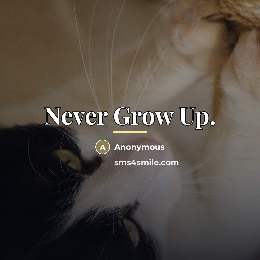 “Never Grow Up.…” quote by Anonymous