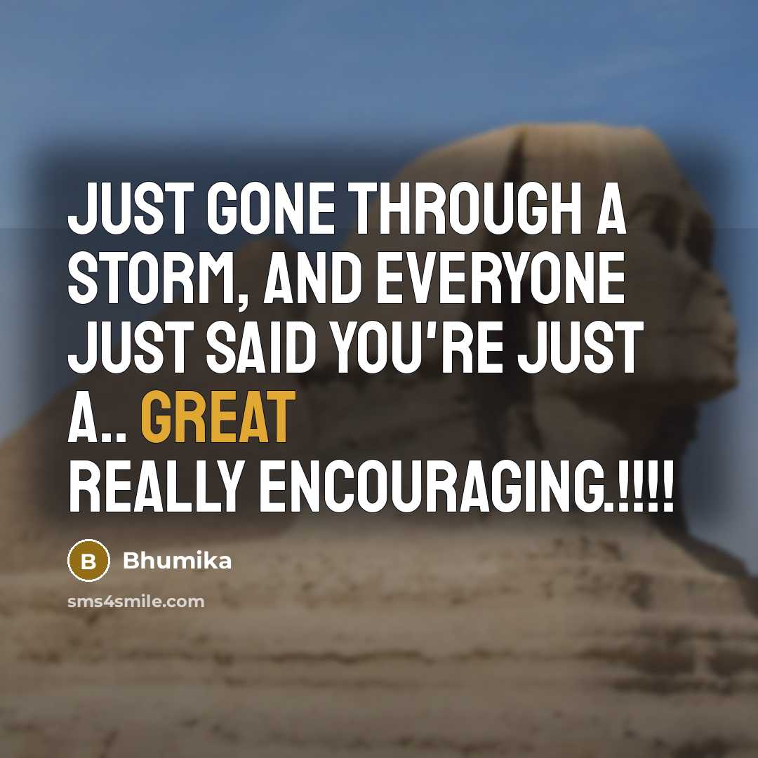 “Just gone through a storm, and everyone just said you're…” quote by Bhumika