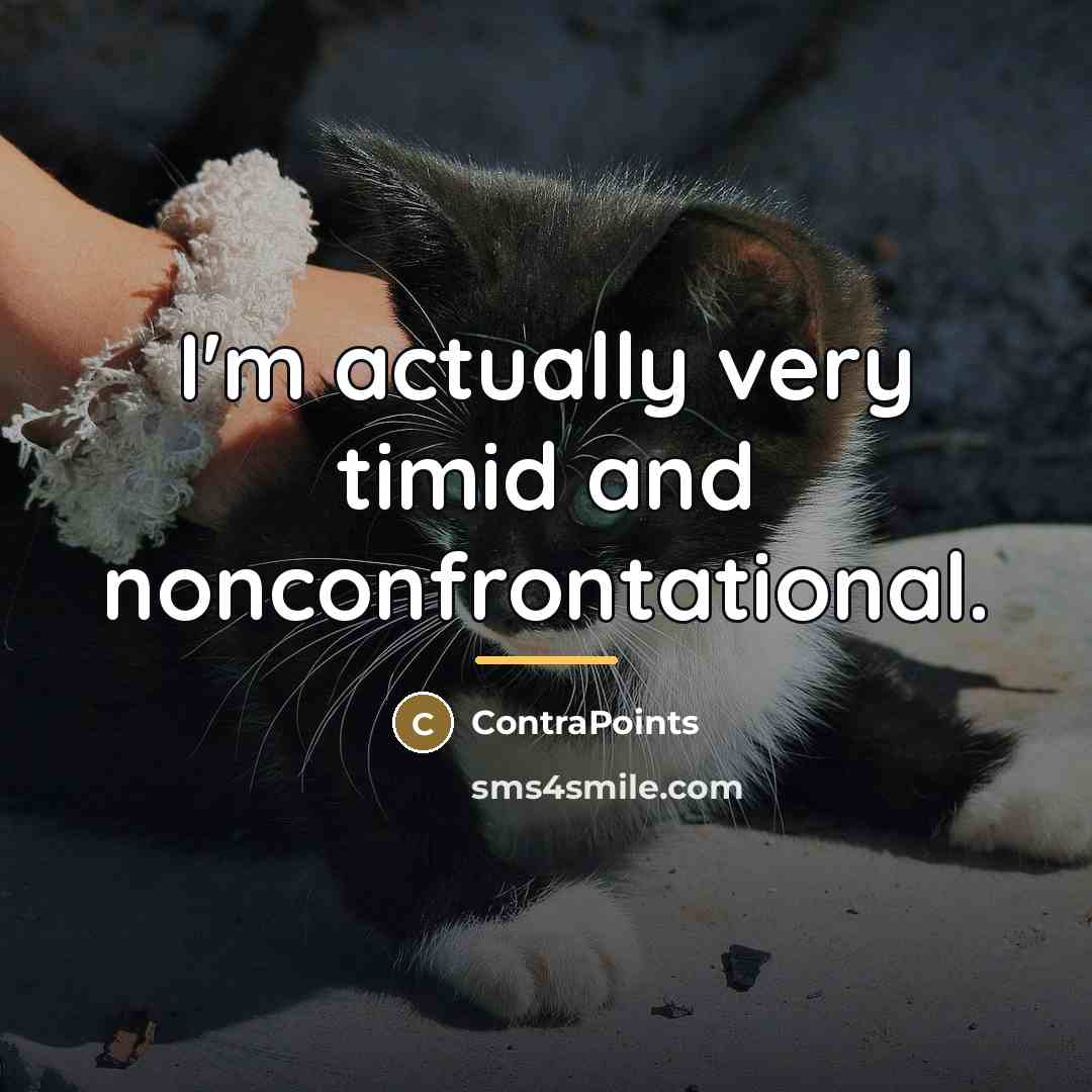 “I'm actually very timid and nonconfrontational.…” quote by ContraPoints