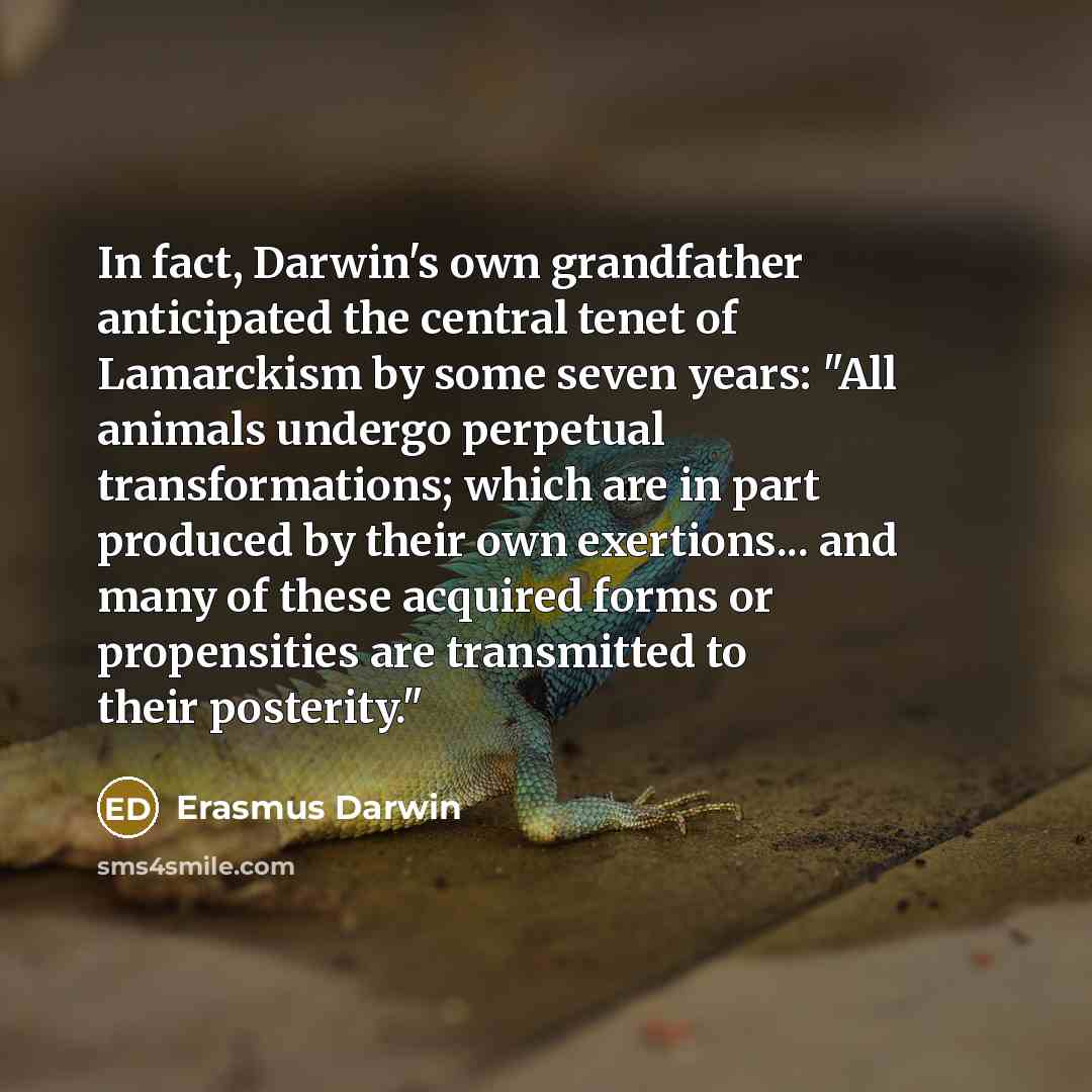 “In fact, Darwin's own grandfather anticipated the central tenet of…” quote by Erasmus Darwin