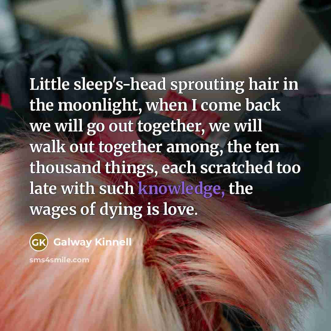 “Little sleep's-head sprouting hair in the moonlight, when I come…” quote by Galway Kinnell