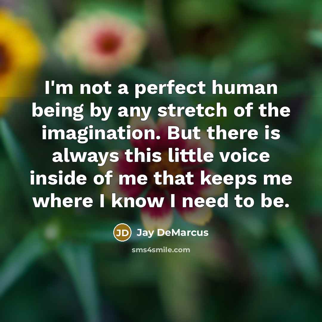 “I'm not a perfect human being by any stretch of…” quote by Jay DeMarcus