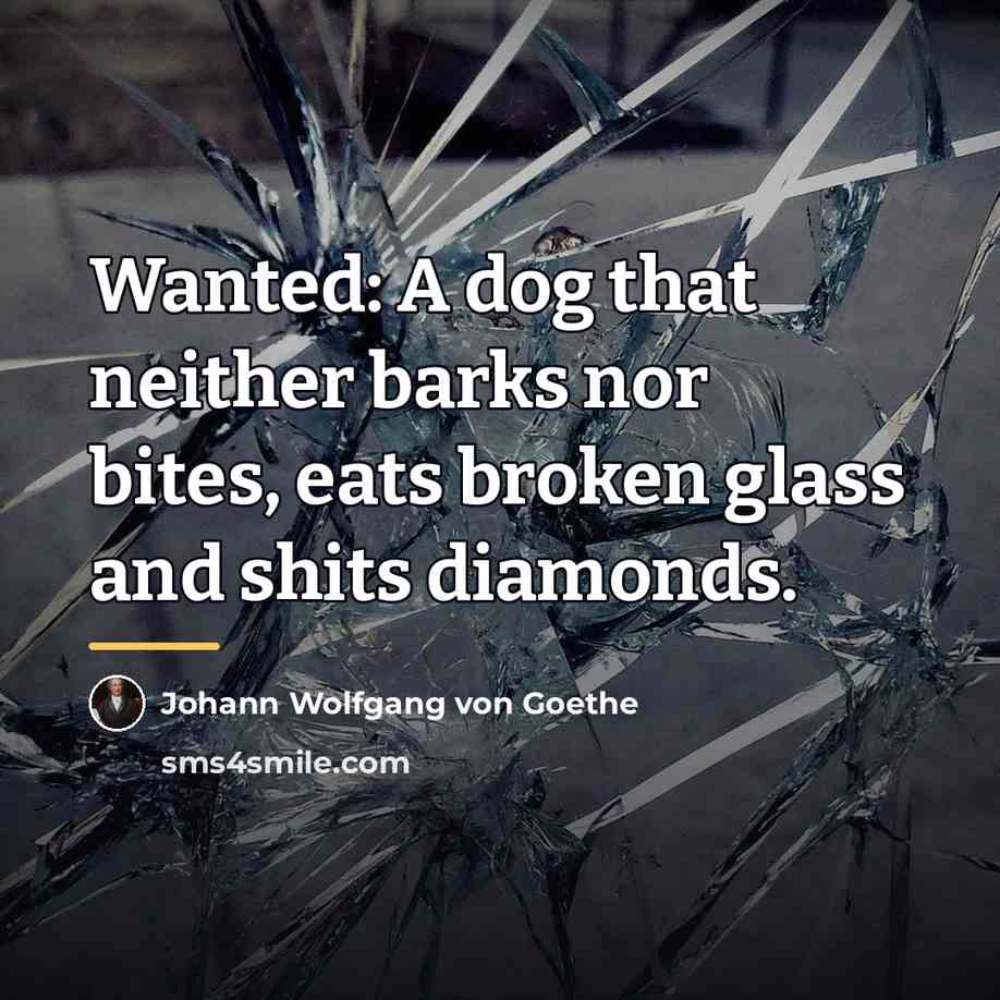 “Wanted: A dog that neither barks nor bites, eats broken…” quote by Johann Wolfgang von Goethe
