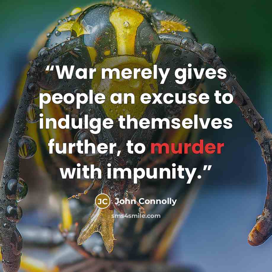 “War merely gives people an excuse to indulge themselves further, to murder with impunity.” quote by John Connolly