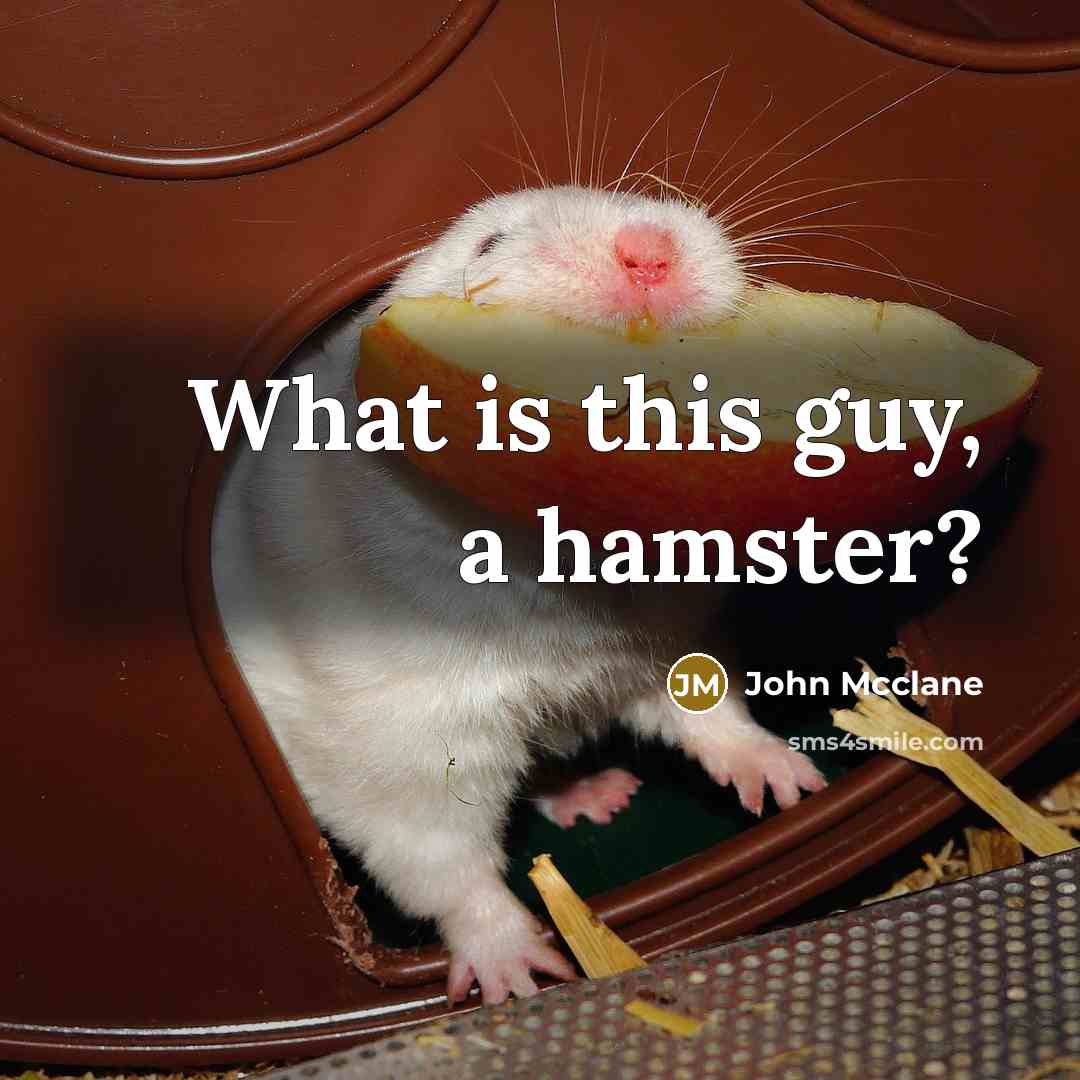 “What is this guy, a hamster?…” quote by John Mcclane
