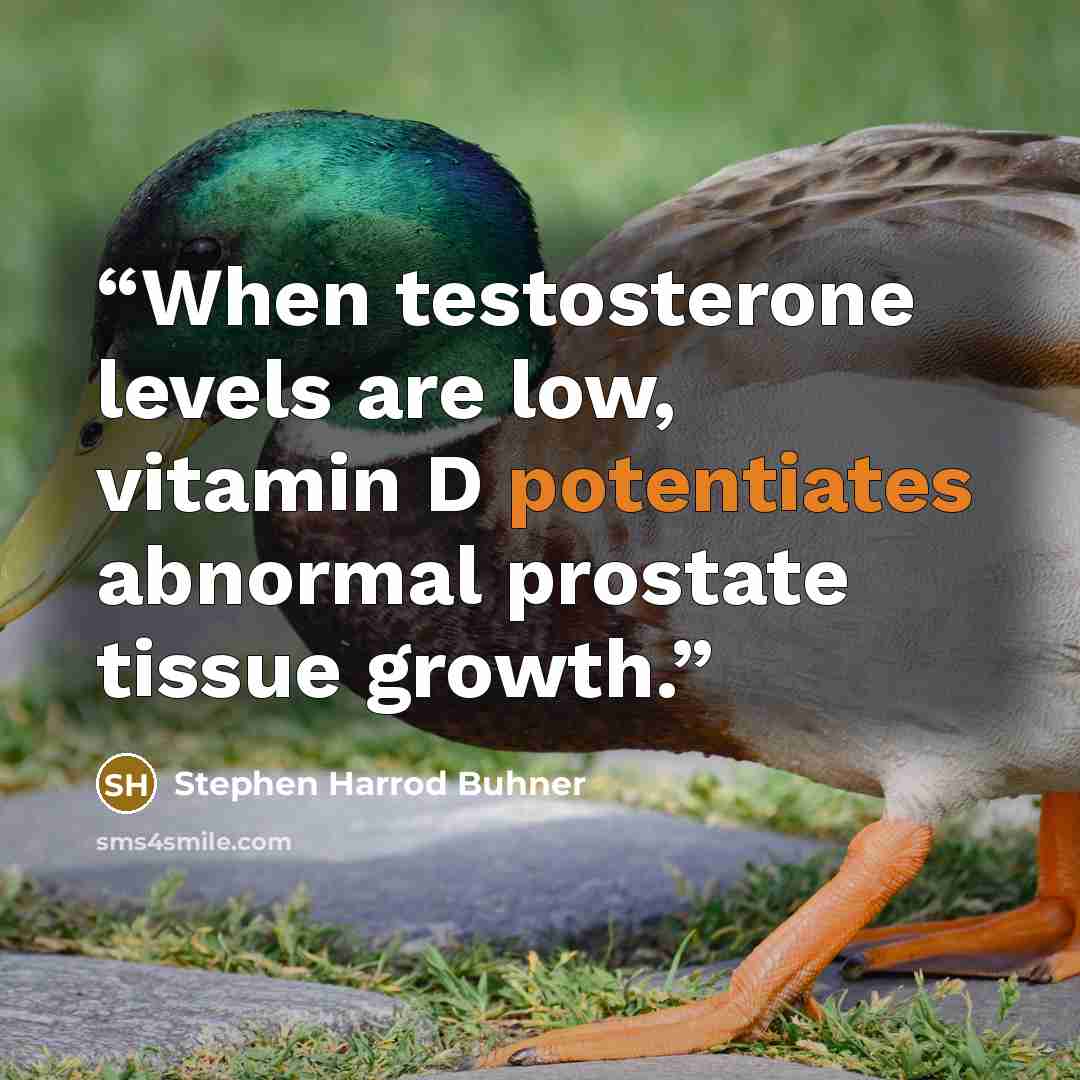 “When testosterone levels are low, vitamin D potentiates abnormal prostate tissue growth.” quote by Stephen Harrod Buhner
