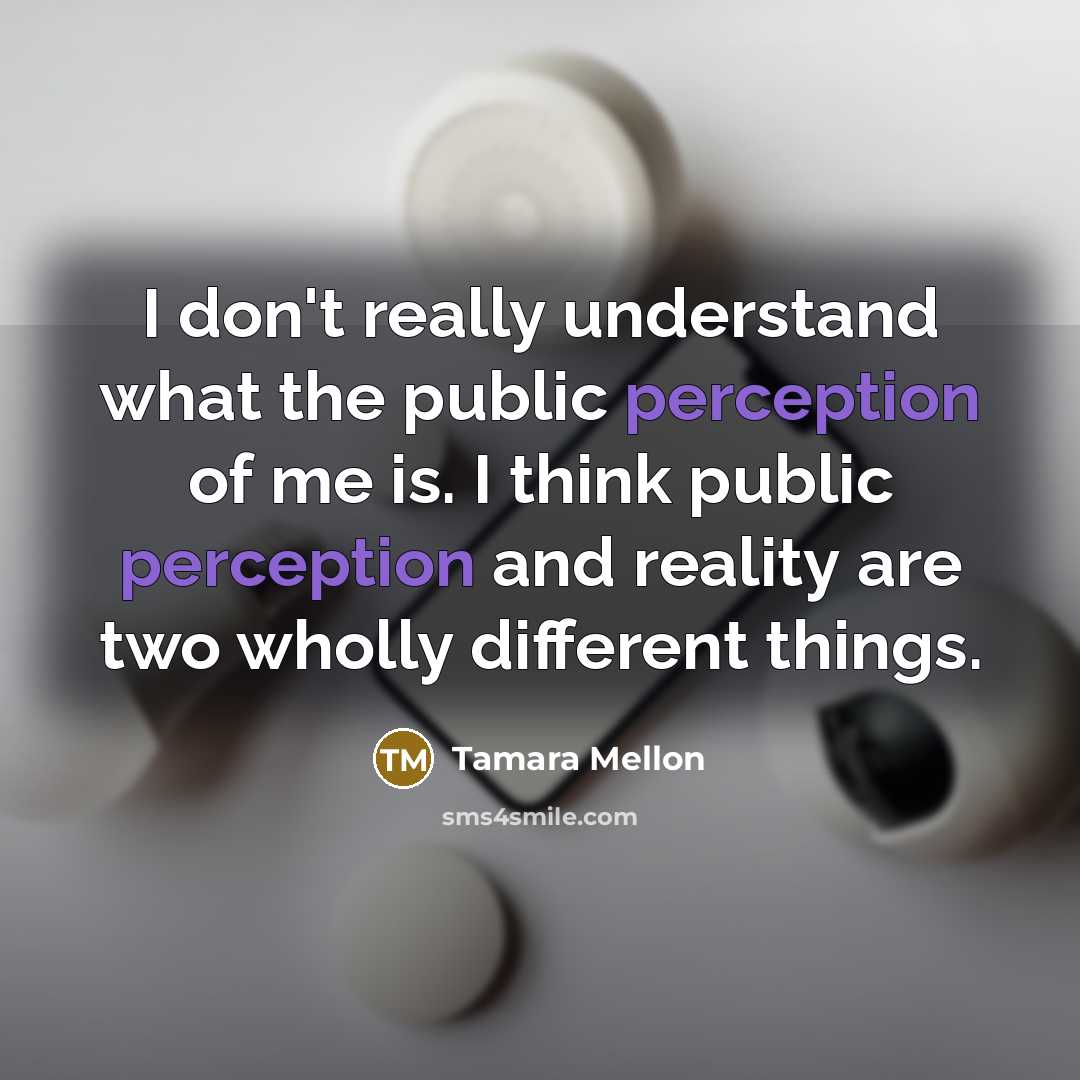 “I don't really understand what the public perception of me…” quote by Tamara Mellon
