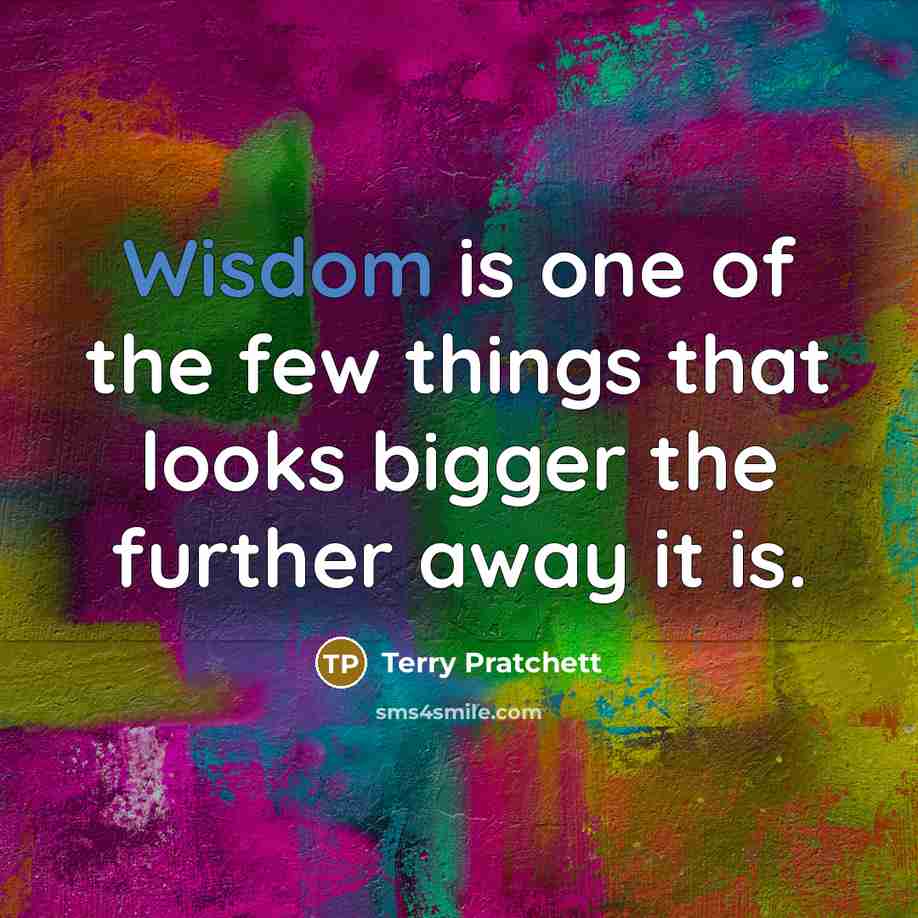“Wisdom is one of the few things that looks bigger…” quote by Terry Pratchett