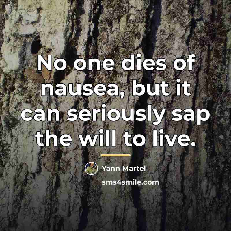 “No one dies of nausea, but it can seriously sap…” quote by Yann Martel