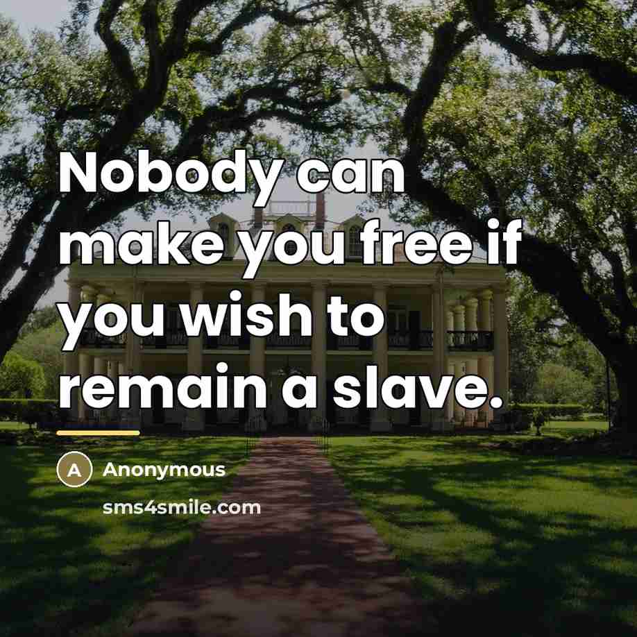 “Nobody can make you free if you wish to remain…” quote by Anonymous