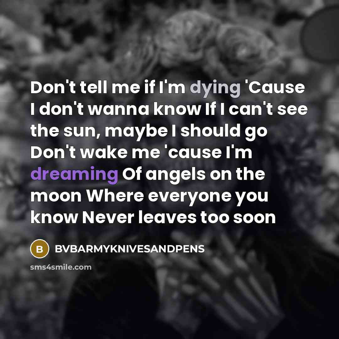 “Don't tell me if I'm dying 'Cause I don't wanna know If I can't see the sun, maybe I should go Don't wake me 'cause I'm dreaming Of angels on the moon Where everyone you know Never leaves too soon” quote by BVBARMYKNIVESANDPENS