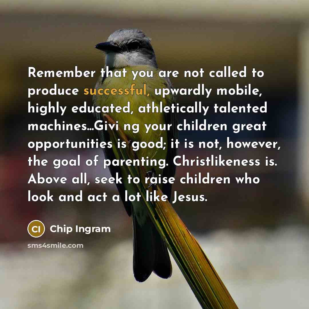 “Remember that you are not called to produce successful, upwardly…” quote by Chip Ingram
