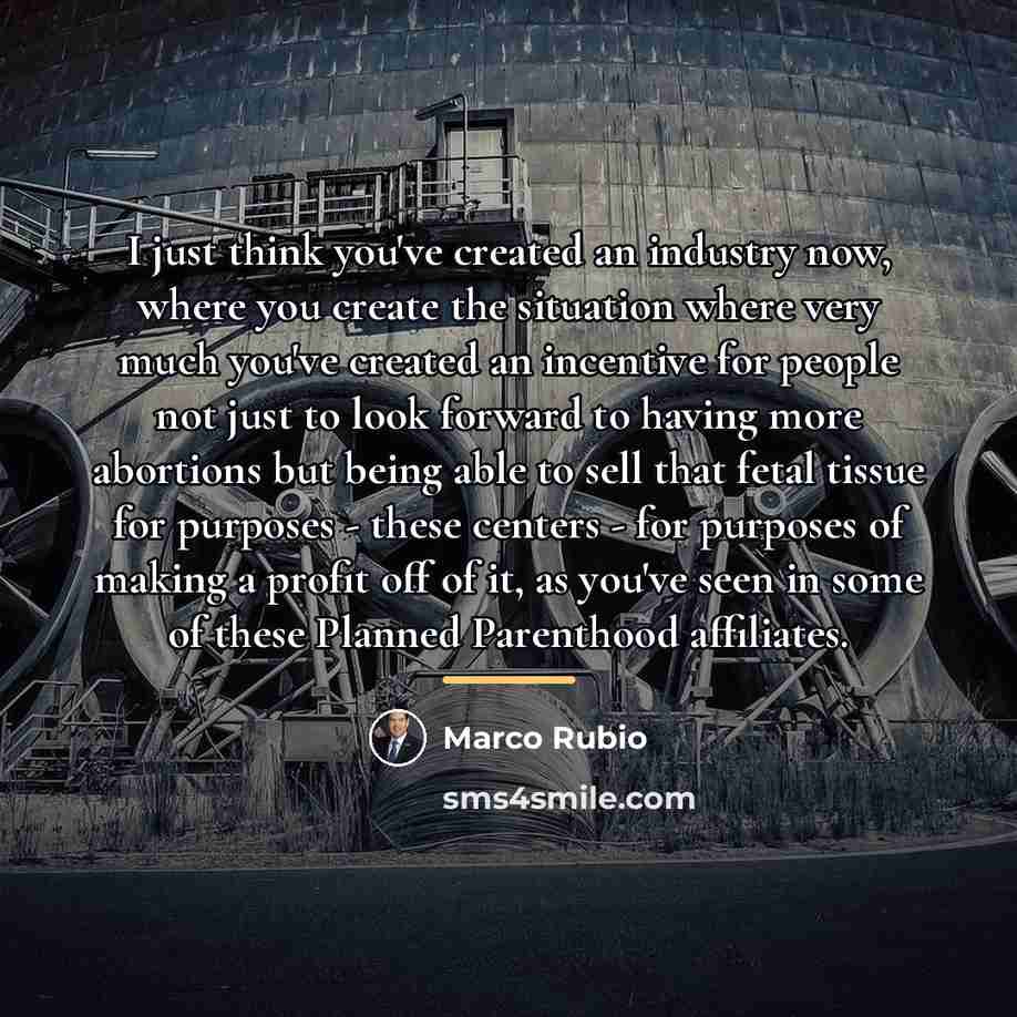 “I just think you've created an industry now, where you…” quote by Marco Rubio