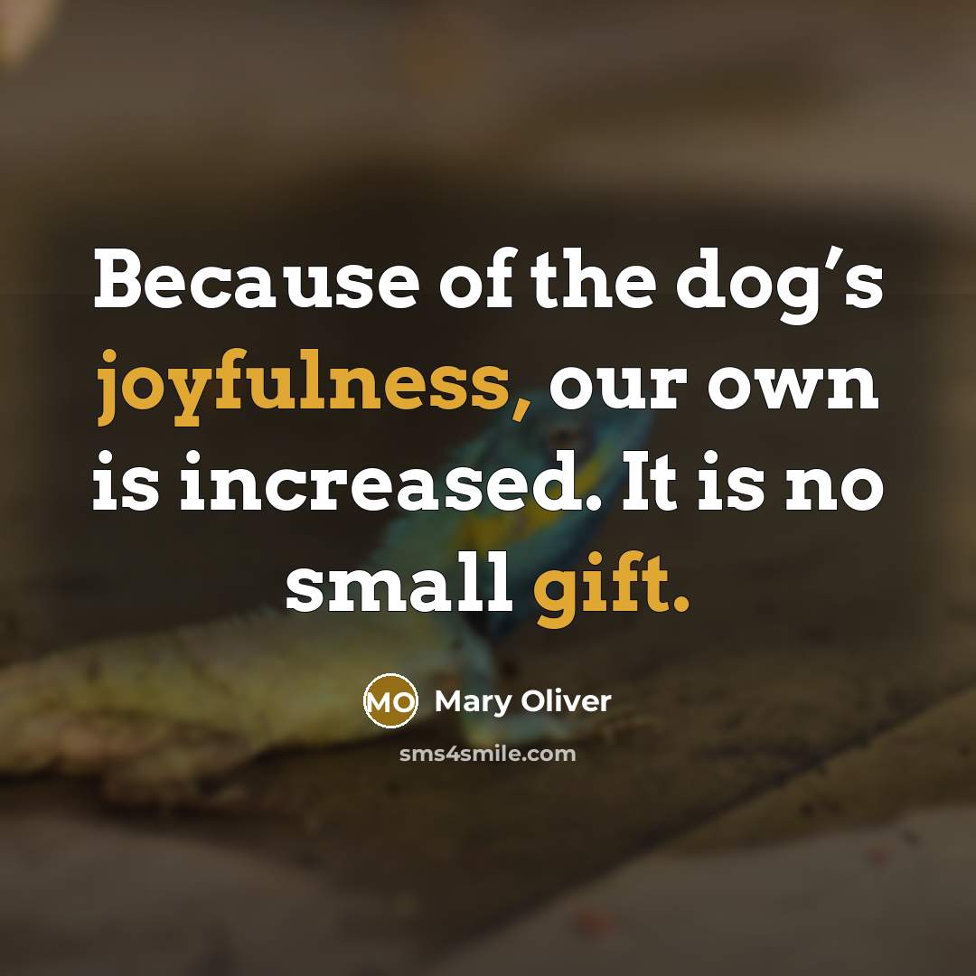 “Because of the dog’s joyfulness, our own is increased. It is no small gift.” quote by Mary Oliver