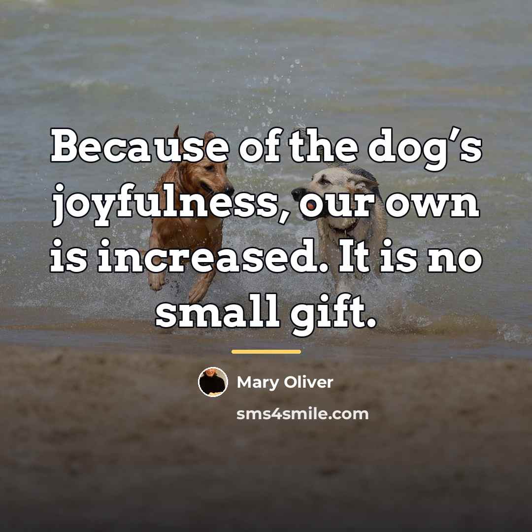 “Because of the dog’s joyfulness, our own is increased. It…” quote by Mary Oliver