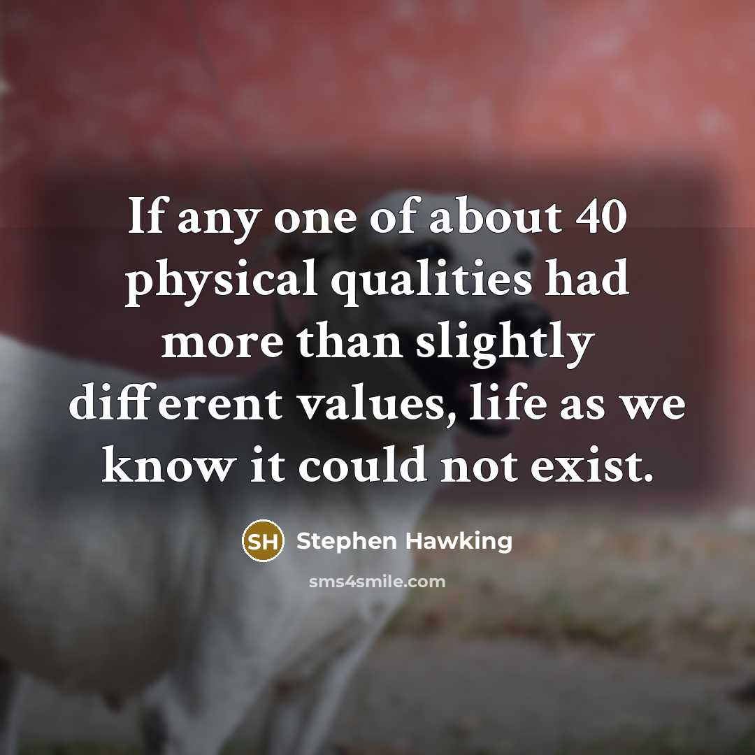 “If any one of about 40 physical qualities had more…” quote by Stephen Hawking
