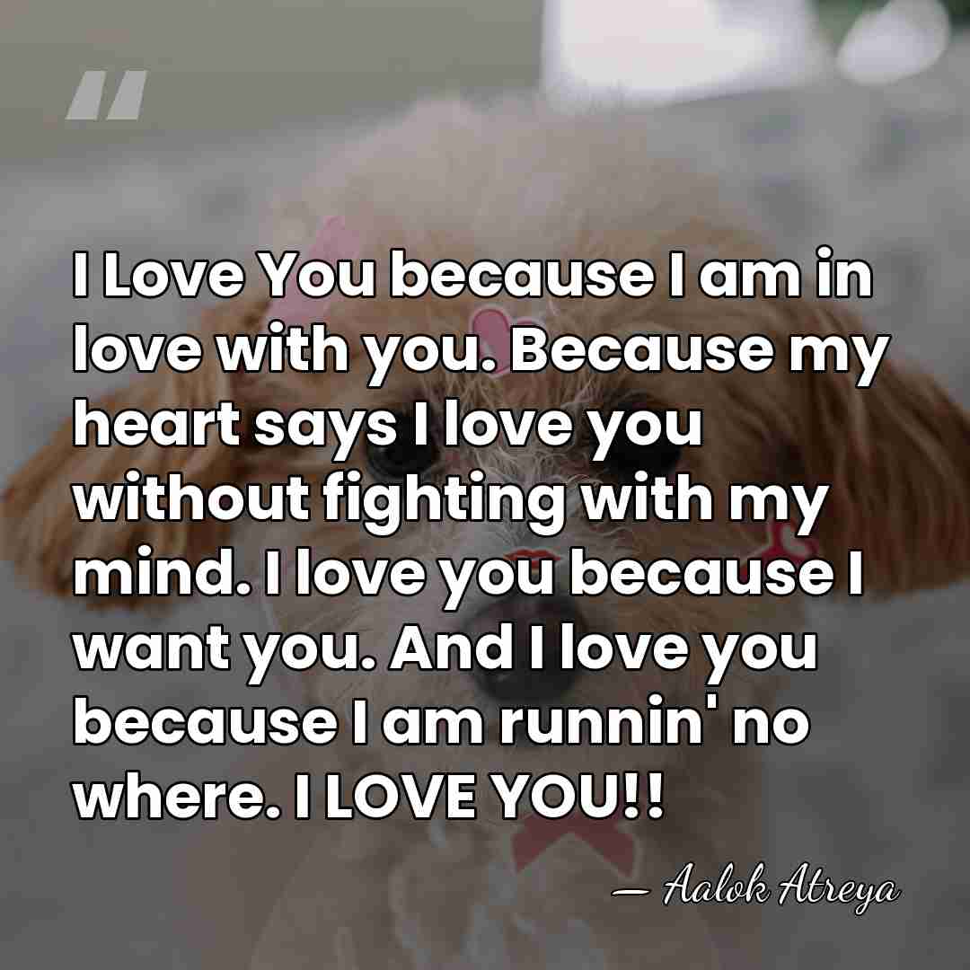 I Love You because I am in love with you. Because my&hellip; - Aalok Atreya