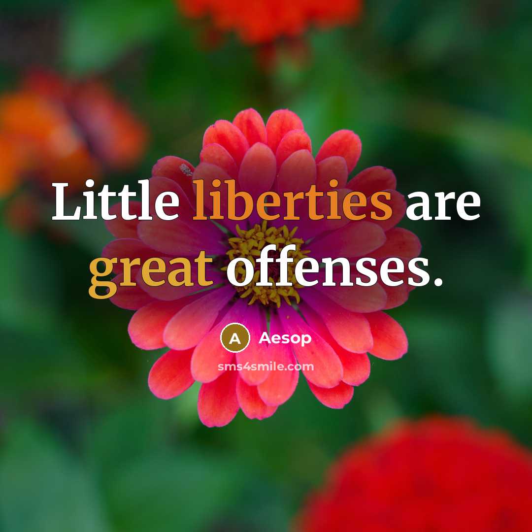 “Little liberties are great offenses.” quote by Aesop