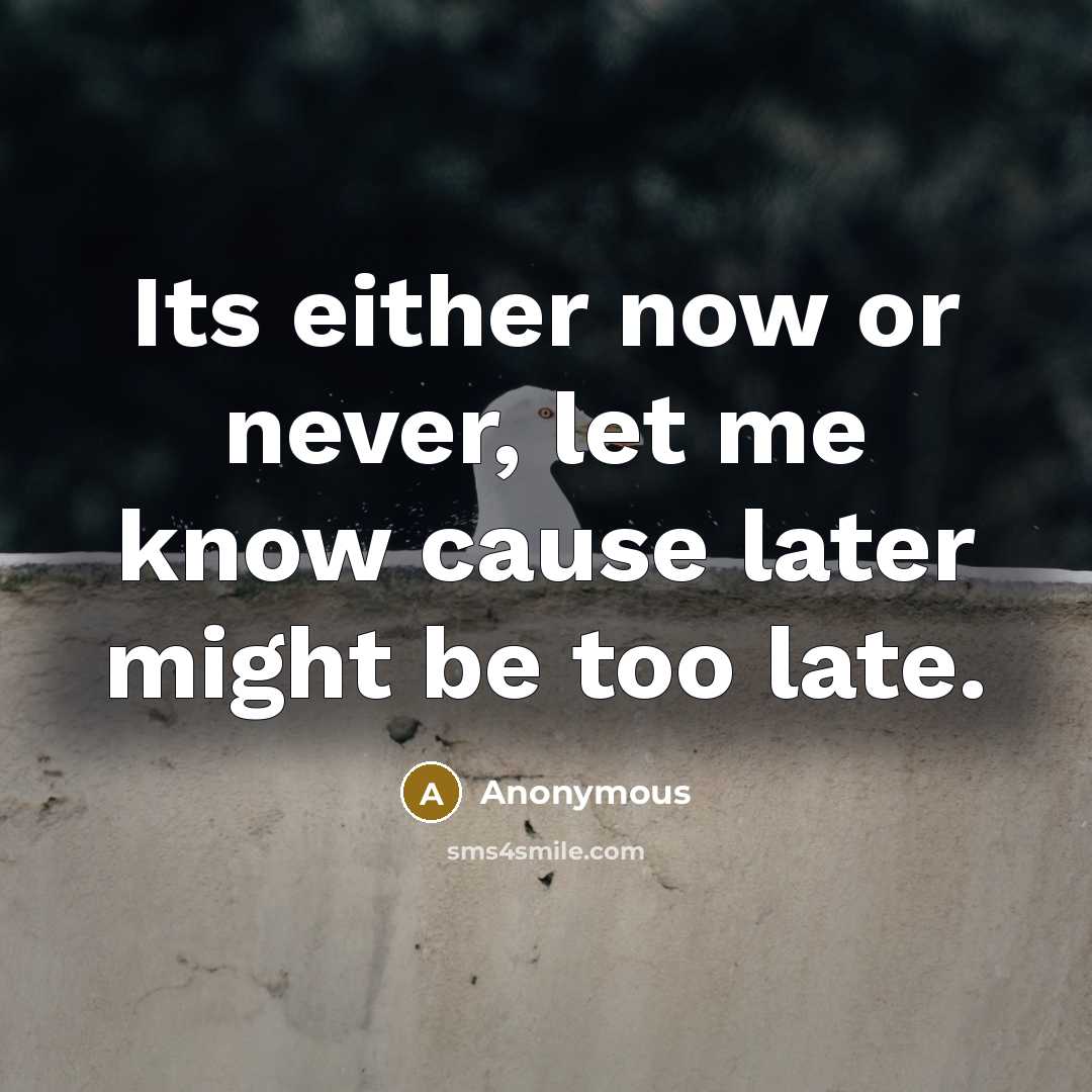 “Its either now or never, let me know cause later might be too late.” quote by Anonymous