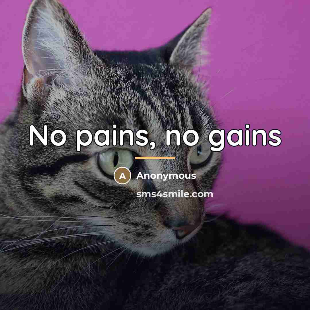 “No pains, no gains…” quote by Anonymous