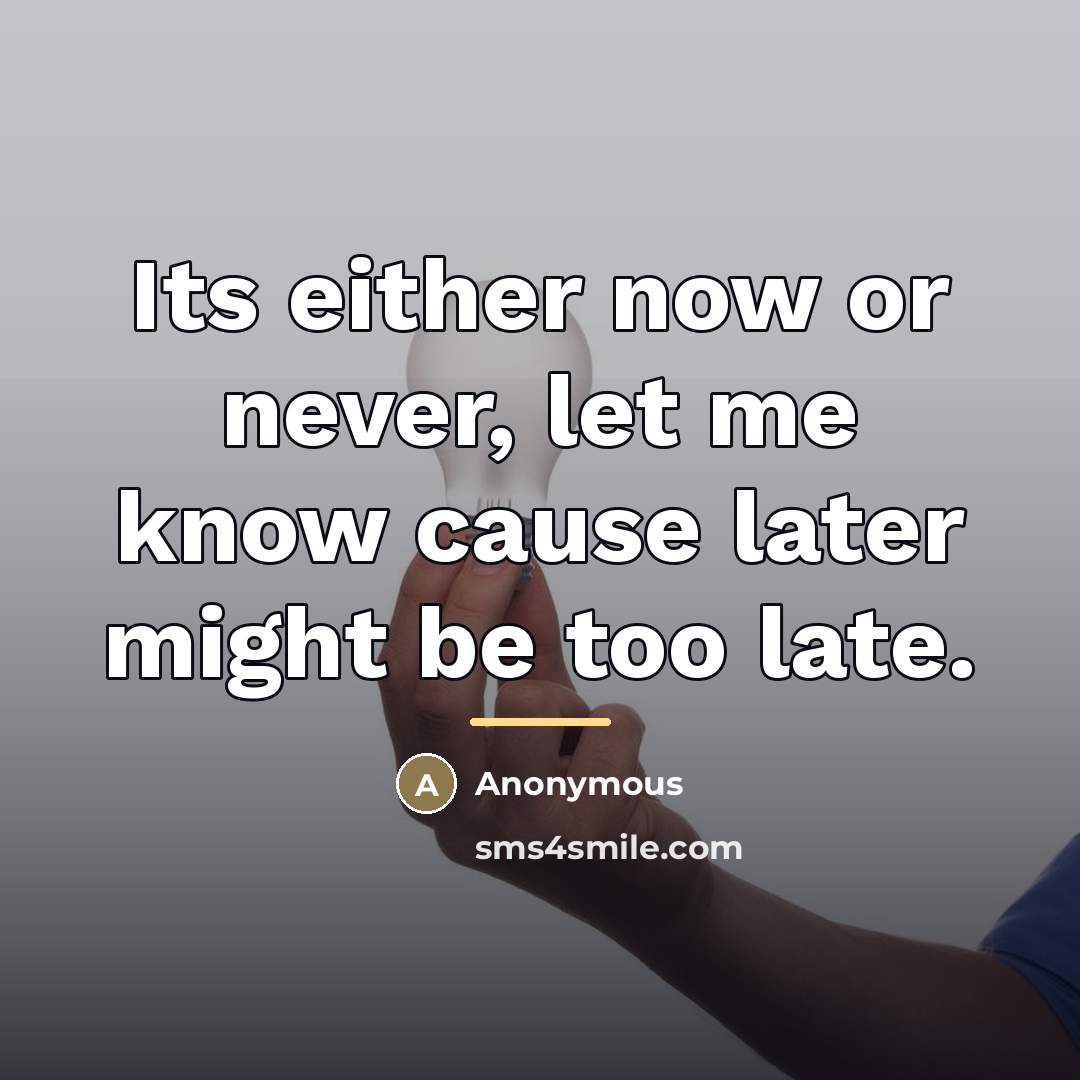 “Its either now or never, let me know cause later…” quote by Anonymous