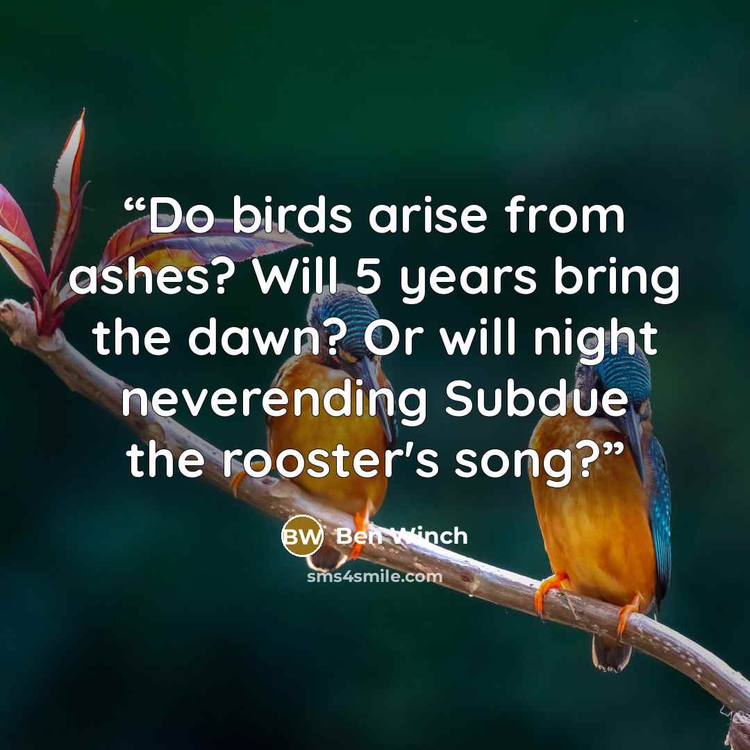 “Do birds arise from ashes? Will 5 years bring the dawn? Or will night neverending Subdue the rooster's song?” quote by Ben Winch