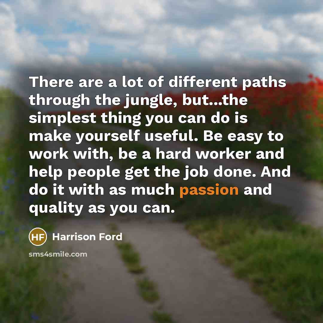 “There are a lot of different paths through the jungle,…” quote by Harrison Ford
