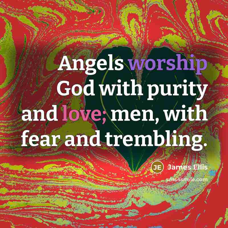 “Angels worship God with purity and love; men, with fear…” quote by James Ellis