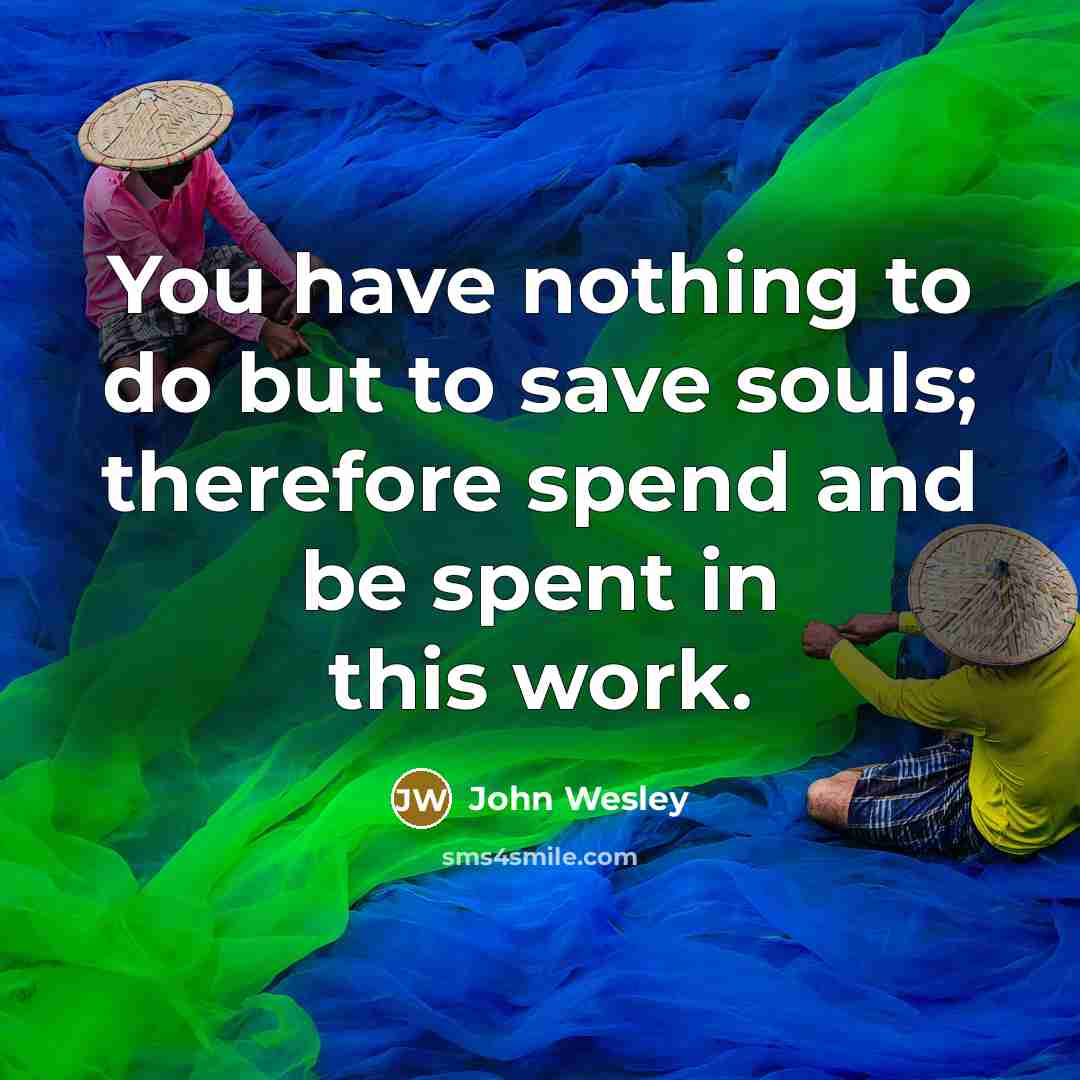 “You have nothing to do but to save souls; therefore…” quote by John Wesley