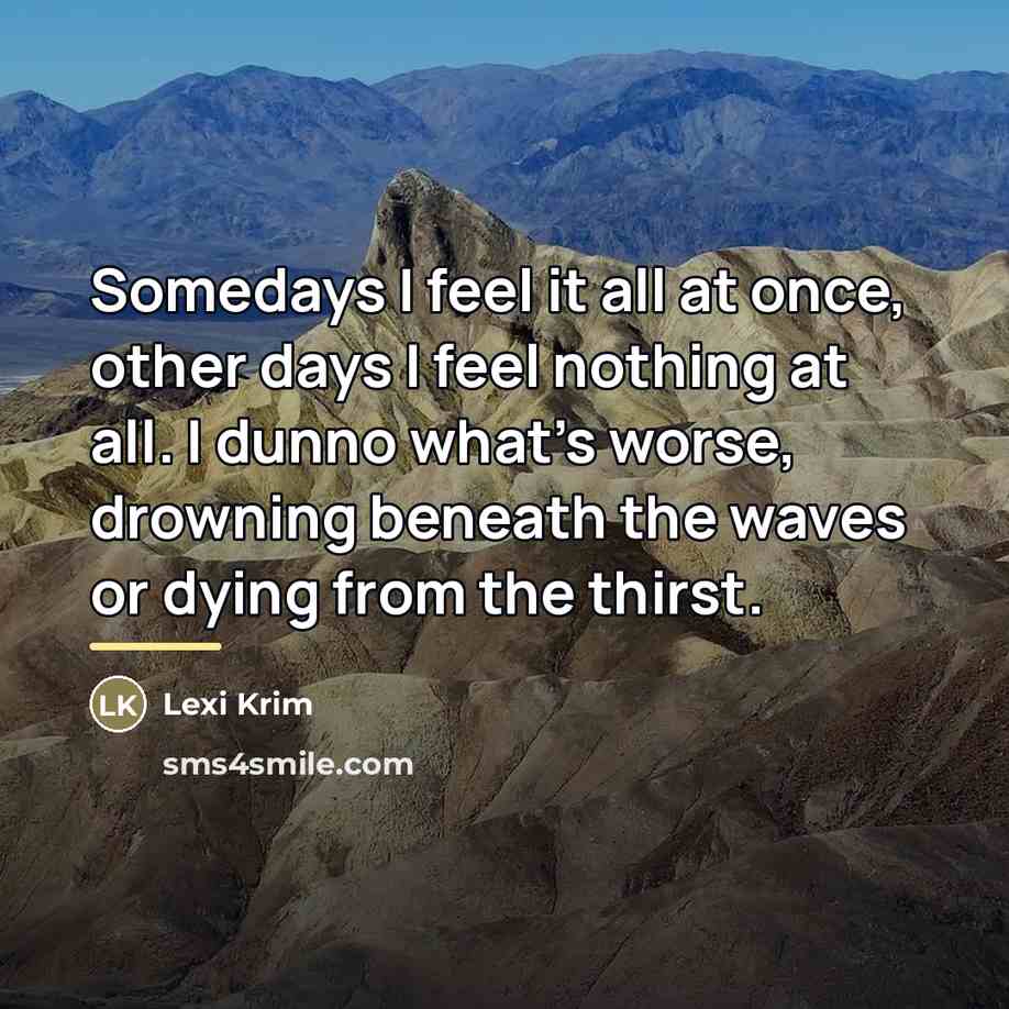 “Somedays I feel it all at once, other days I…” quote by Lexi Krim
