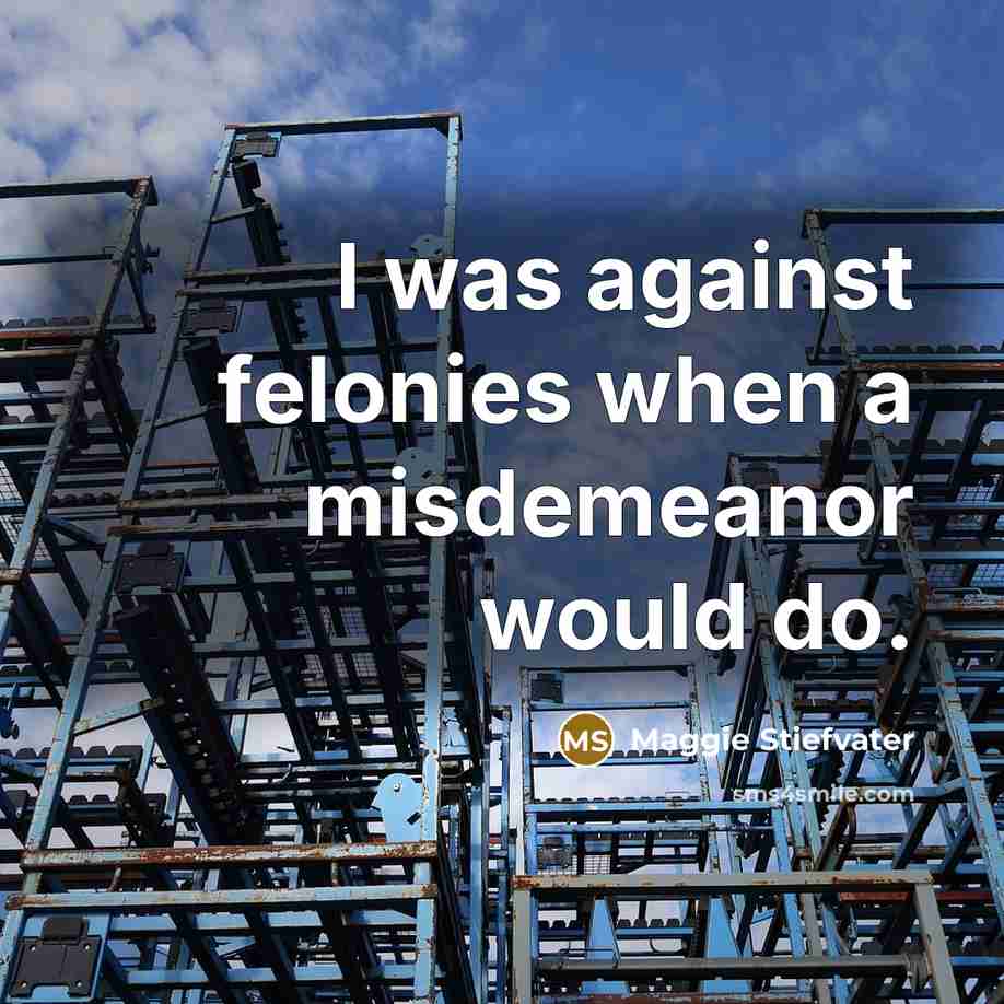 “I was against felonies when a misdemeanor would do.” quote by Maggie Stiefvater