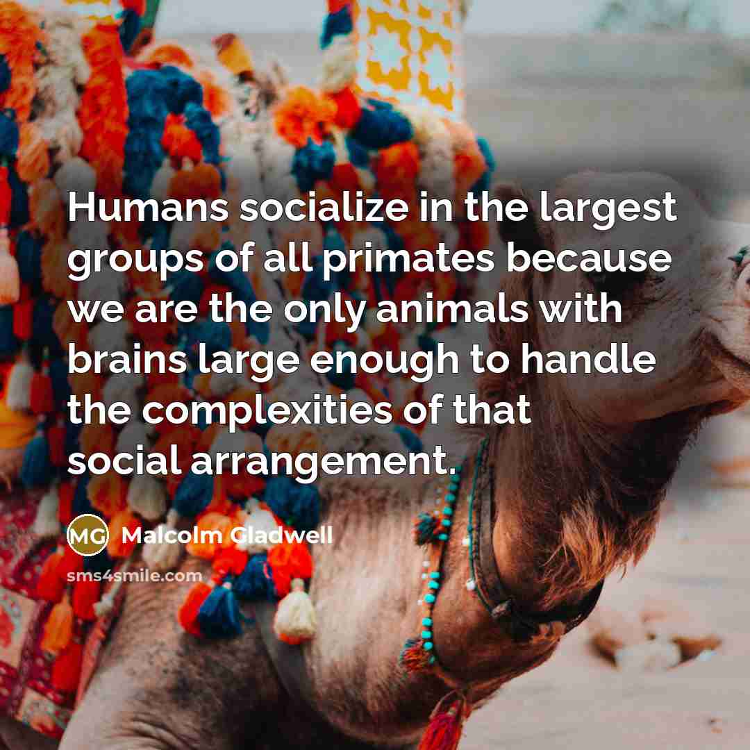 “Humans socialize in the largest groups of all primates because…” quote by Malcolm Gladwell